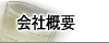 �ۏ؋Ɩ����e